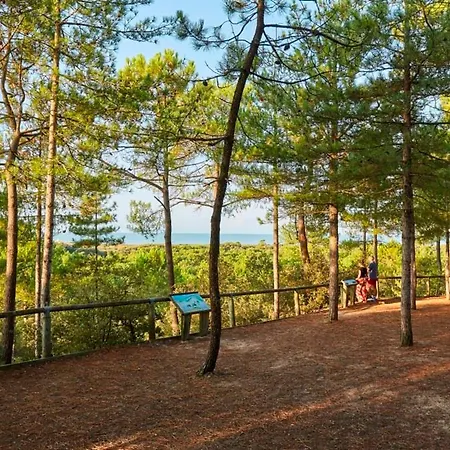 Maison Charmante Proche Foret - 4 Pers. - Fr-1-323-606 Nyaraló
