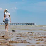 Maison Charmante Proche Forêt - 4 Pers. - Fr-1-323-606 Hébergement de vacances *